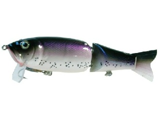 0001_Royal Trout.jpg 0001_Royal Trout.jpg